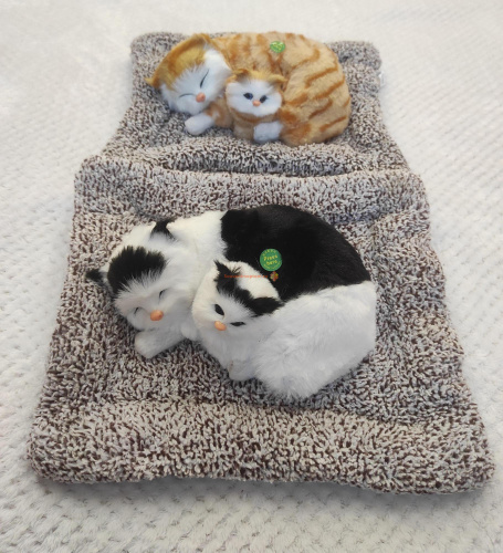 "Кошка с котенком" во Перми